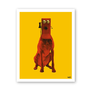 Poster Dogallo