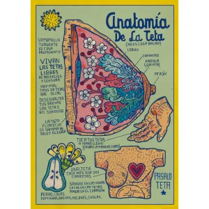 Anatomía de la Teta