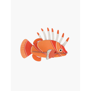 Pez León STUDIO ROOF