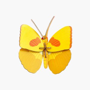 Mariposa Amarilla STUDIO ROOF