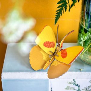 Mariposa Amarilla STUDIO ROOF