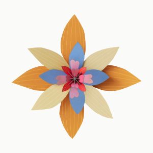 Flor Sorbete de Albaricoque STUDIO ROOF