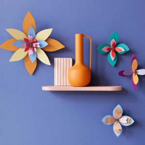 Flor Sorbete de Albaricoque STUDIO ROOF