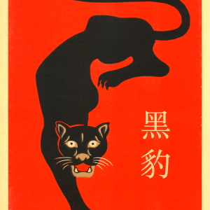 Black Panther – El Marquès