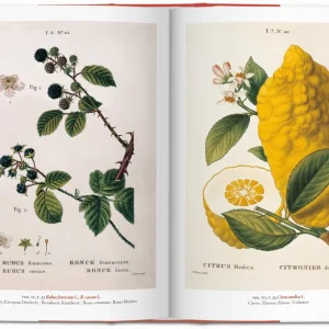 Un Jardín del Edén – Taschen
