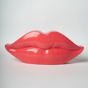 Hucha de Labios Smack