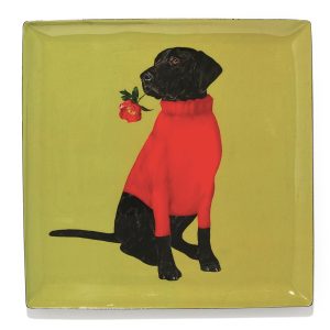 Vaciabolsillos Toox – Gangzaï