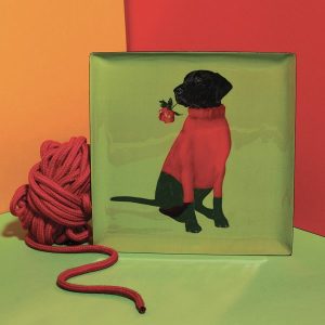 Vaciabolsillos Toox – Gangzaï