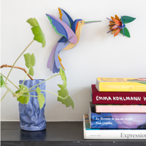 Colibrí STUDIO ROOF