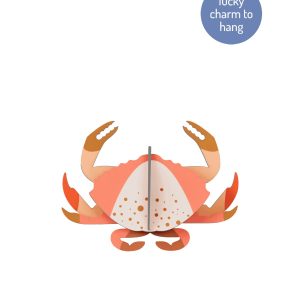 Cangrejo Rosa STUDIO ROOF