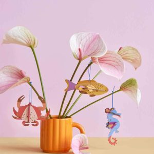 Cangrejo Rosa STUDIO ROOF