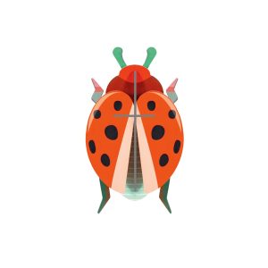 Mariquita Roja STUDIO ROOF